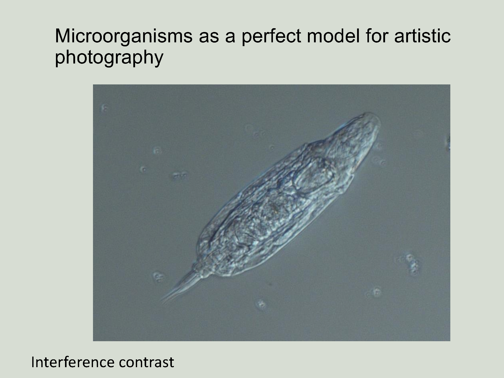Prezentacja_Erasmus_Plus1ang_22