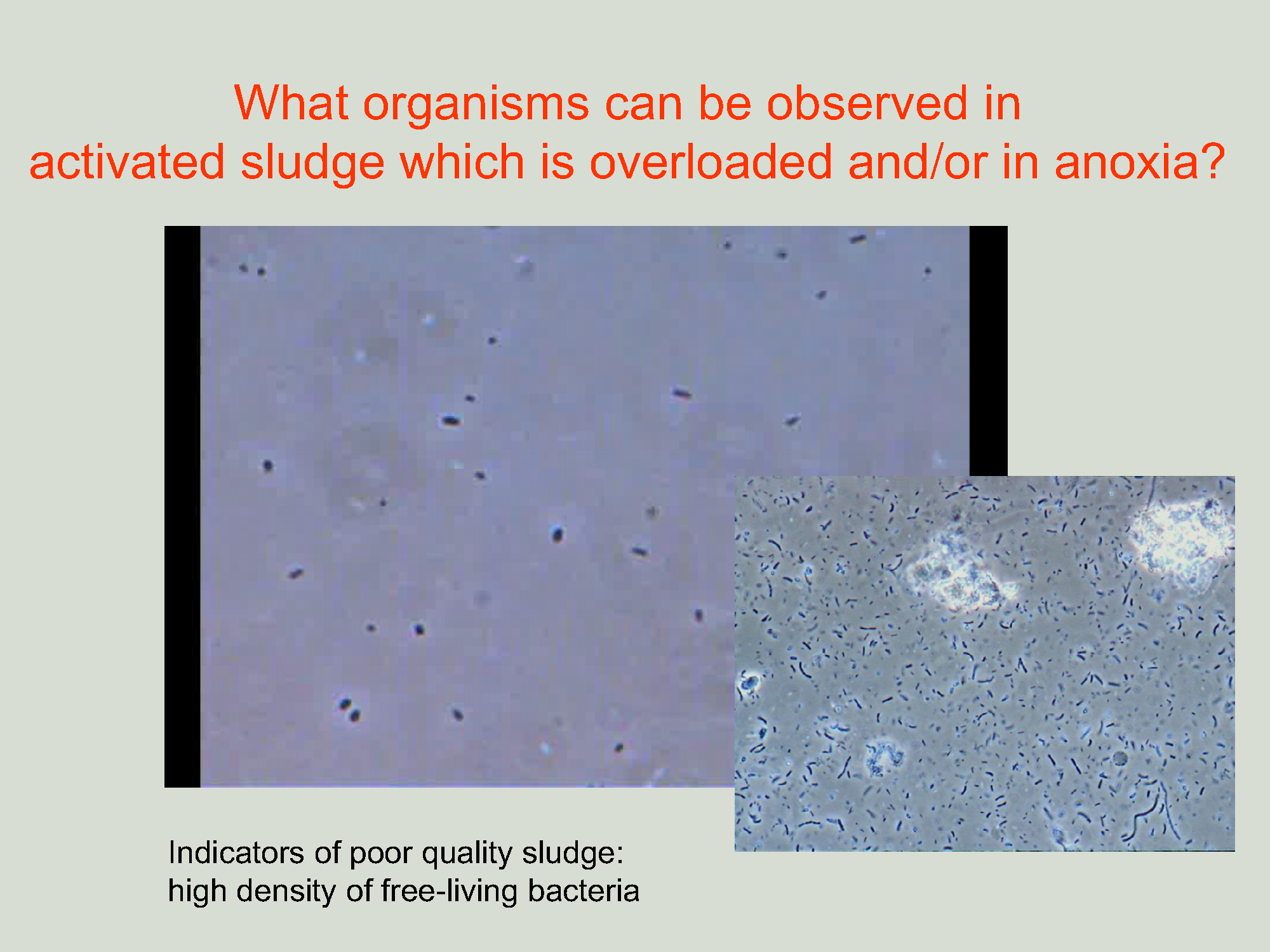 Prezentacja_Erasmus_Plus1ang_8